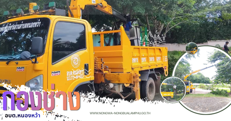 #ออกดำเนินการตัดต้นไม้